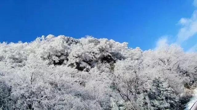 与辉同行第一次团建 评论区充满了欢声笑语