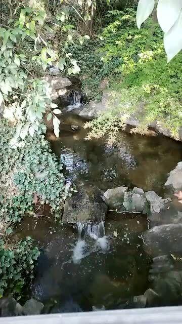 救援深海动物