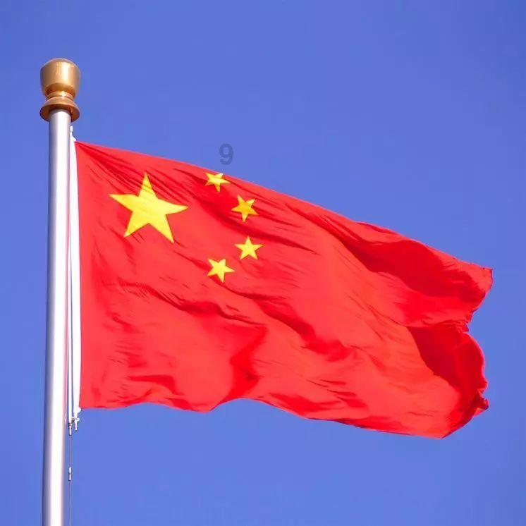 植物大战僵尸17