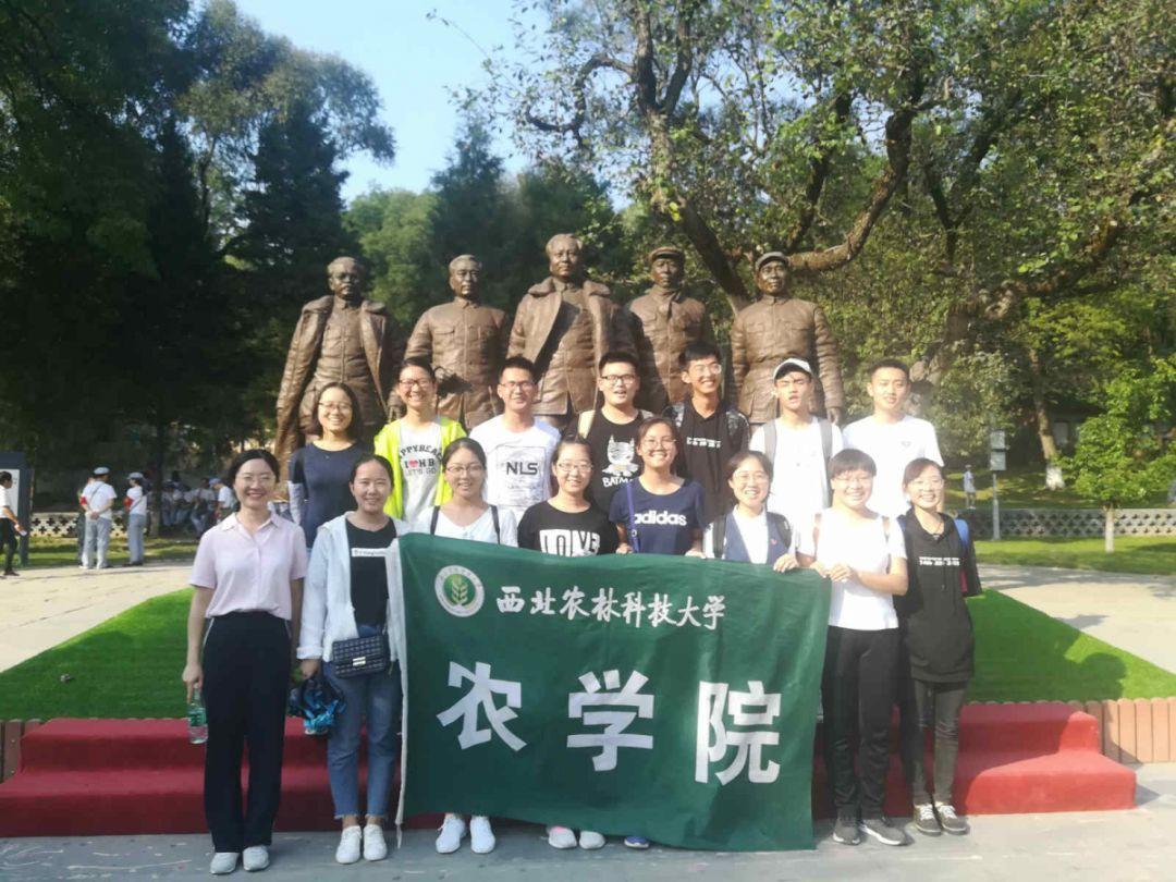 8位最火短剧女主，个个又美又有灵气，连一周杀青的网剧都这么卷
