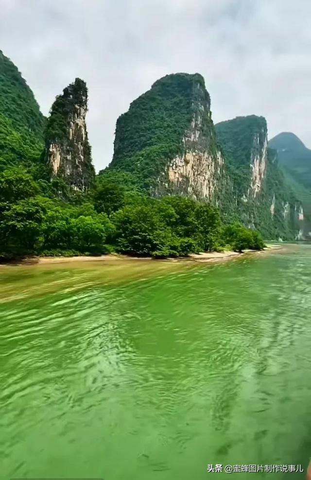 网友好心抱回一只流浪猫，照顾三个月之后，直呼自己养不起