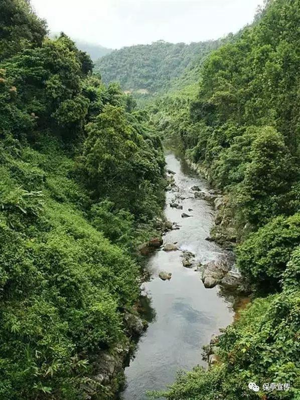 虫虫助手下载