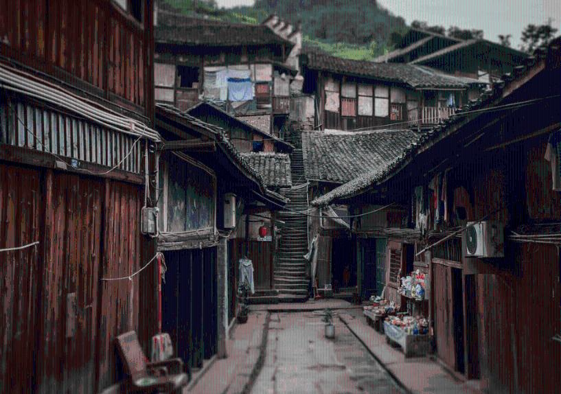 照顾小兔宝宝