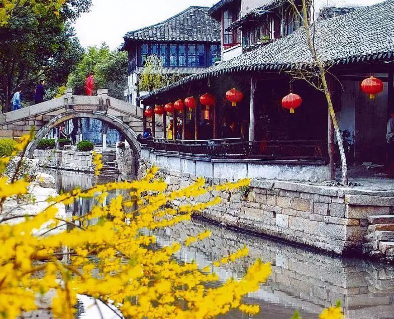 梦想的后院