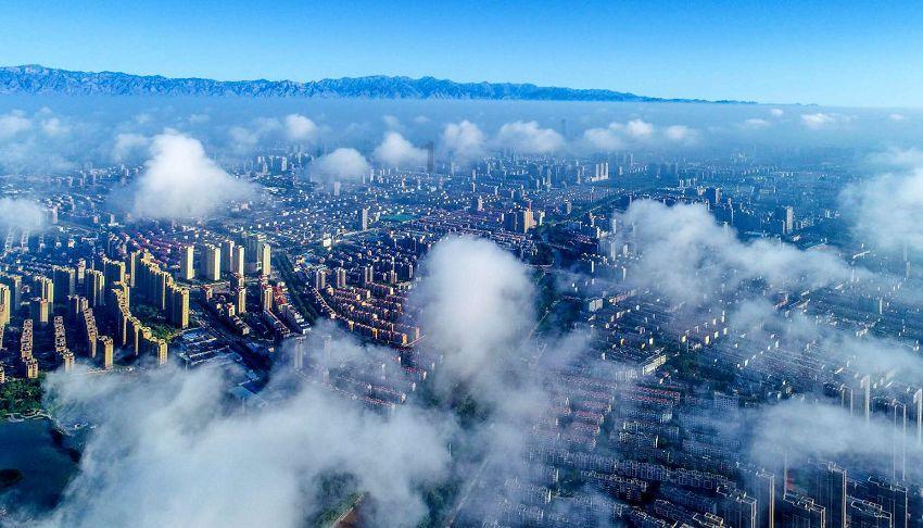 探索癞蛤蟆吃天鹅肉下一句歇后语是什么?,发现无限乐趣!